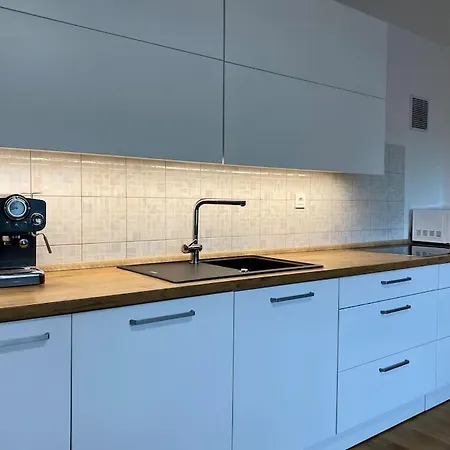 Apartamento Spacious In A Quiet Neighbourhood + Private Parking Liubliana